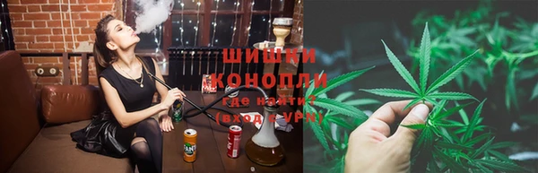 сатива Нея