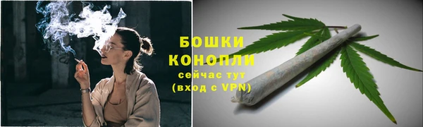 сатива Нея