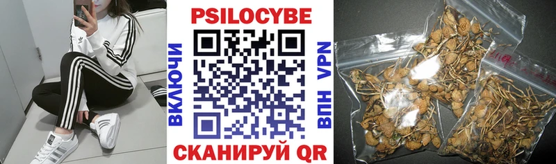 Галлюциногенные грибы Psilocybine cubensis  МЕГА зеркало  Покачи 
